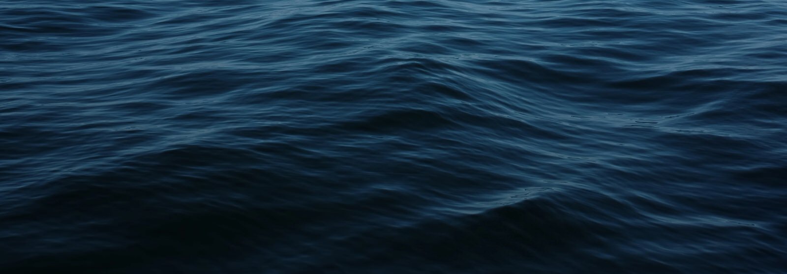 background img